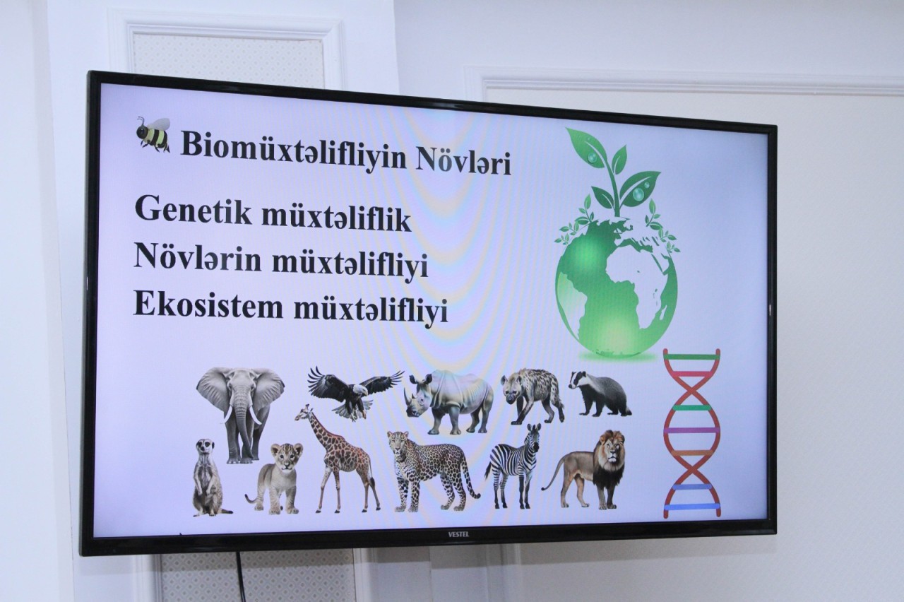 ADAU-da “Yaşıl Gənclik” yay məktəbi uğurla davam edir - FOTOLAR